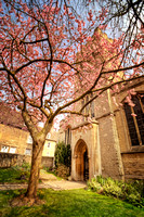 Stamford Spring St George's Church 2